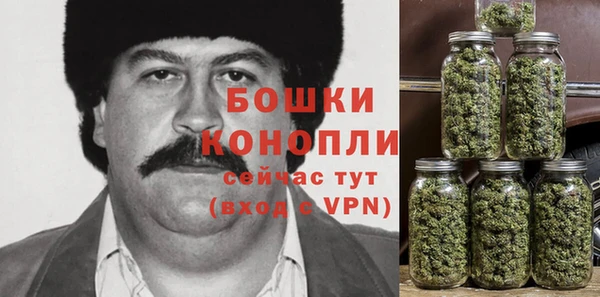 шишки Абинск