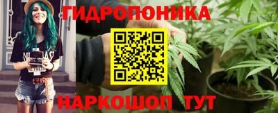 прущие грибы Конаково