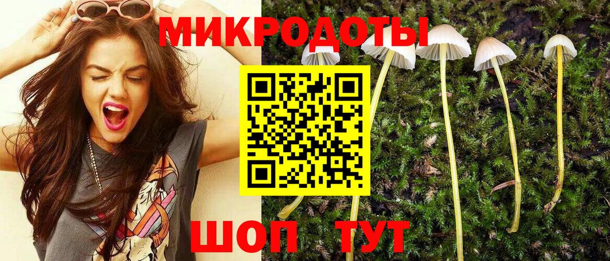 Людиново  Галлюциногенные грибы Psilocybe  Вход с VPN 